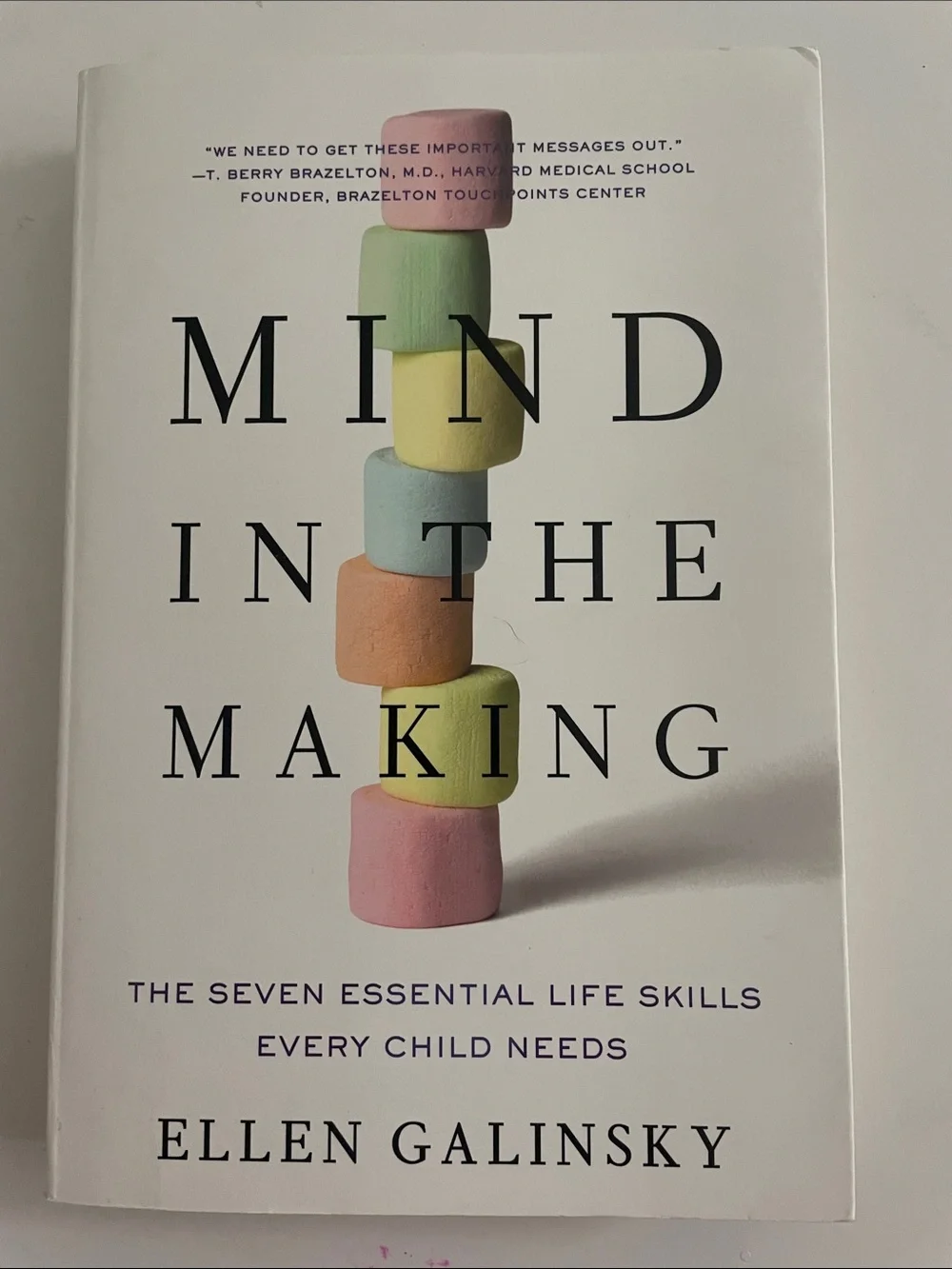 Mind in the Making - The Seven Essential Life Skills Every Child Needs